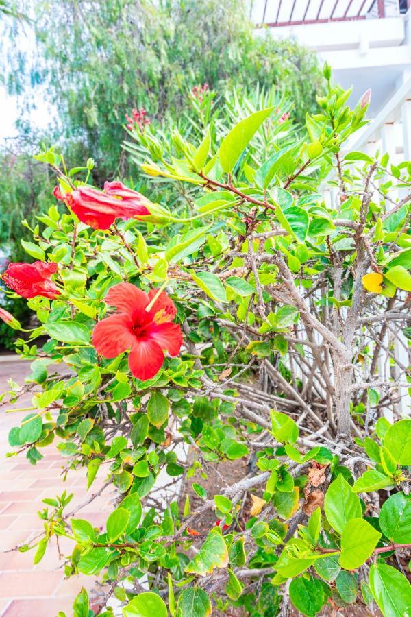 Vivienda Vacacional Serendipity Costa Teguise Eksteriør bilde